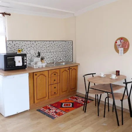 Stylish Triplex With Turkish Bath, Terrace, Location ヴィラ